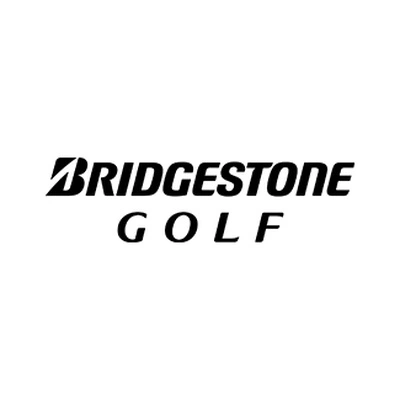 Каталог Bridgestone