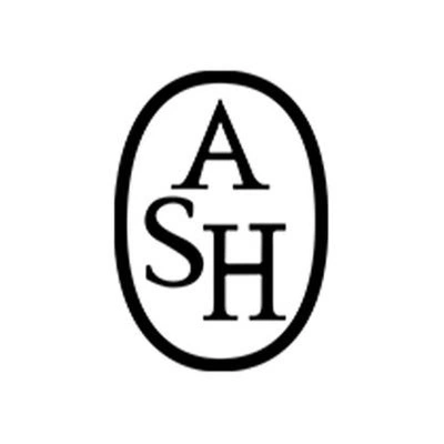 Брендовые ботинки Челси от ASH | Китай.рф