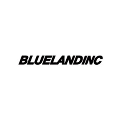 Брендовые пуховики от BLUELANDINC | Китай.рф