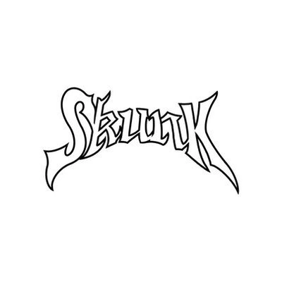 Брендовые толстовки от SKUNK GALLERY | Китай.рф