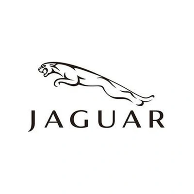 Брендовые ремни JAGUAR | Китай.рф