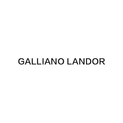 Толстовки от GALLIANO LANDOR | Китай.рф