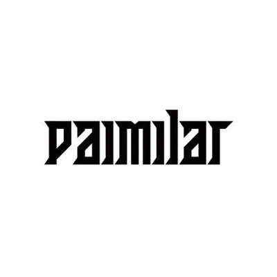 Брендовые сумки PAIMILAR | Китай.рф