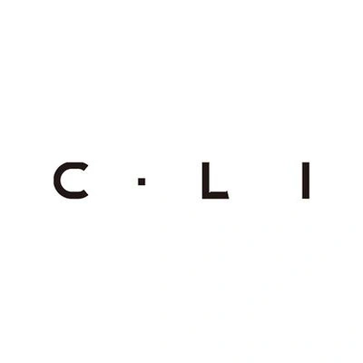 Сумки через плечо от бренда C.LI | Китай.рф