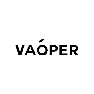 Брендовые рюкзаки VAOPER | Китай.рф