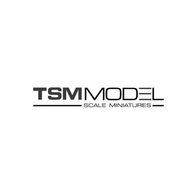 Собранные модели от TSMMODEL SCALE MINIATURES | Китай.рф