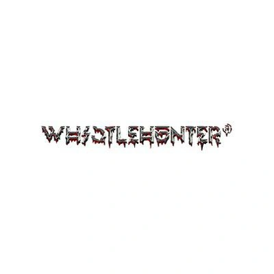 Карго штаны от WHISTLEHUNTER | Китай.рф