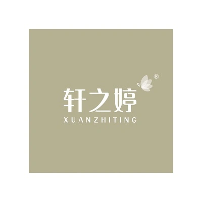 Каталог XUANZHITING