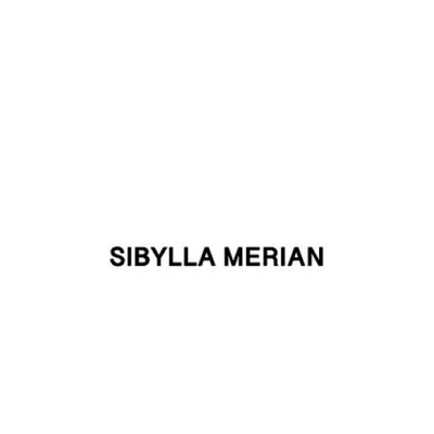 Маски от SIBYLLA MERIAN - уход за вашей кожей | Китай.рф