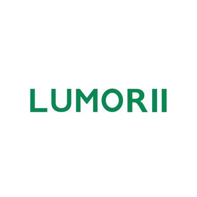 Аксессуары для обуви от LUMORII | Китай.рф