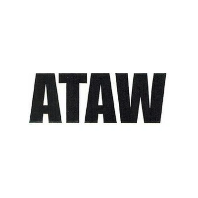 Кеды от бренда ATAW | Китай.рф