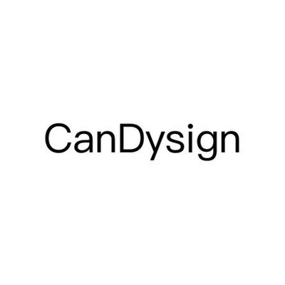 Брендовые зарядные устройства от CanDysign | Китай.рф