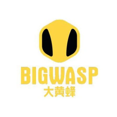 Каталог BIG WASP