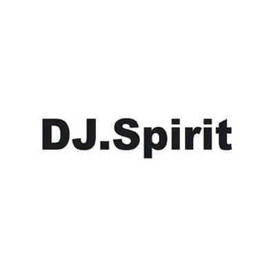 Брендовые куртки от DJ.SPIRIT | Китай.рф