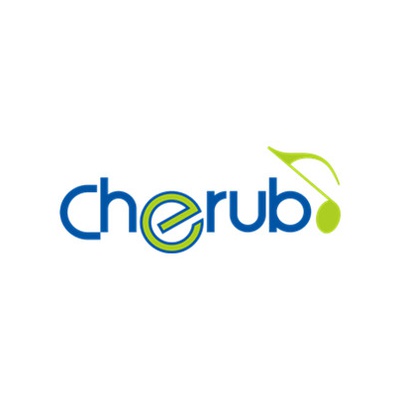 Аксессуары для гитары от бренда CHERUB | Китай.рф