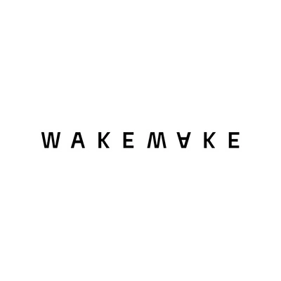 Тени от бренда WAKEMAKE | Китай.рф