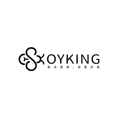 Брендовые лампы от Soyking | Китай.рф