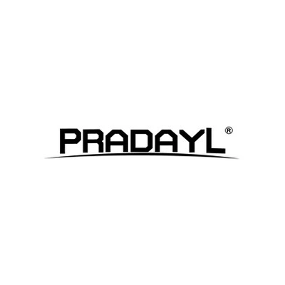 Велотренажеры PRADAYL: качество и доступность | Китай.рф