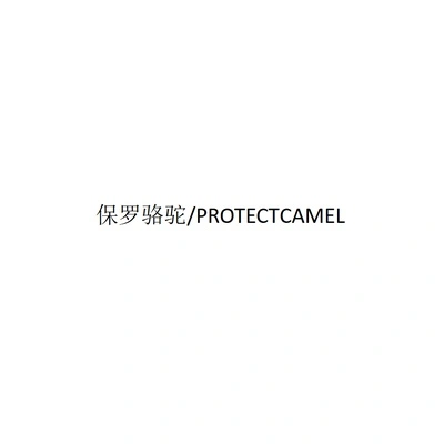 Каталог PROTECTCAMEL