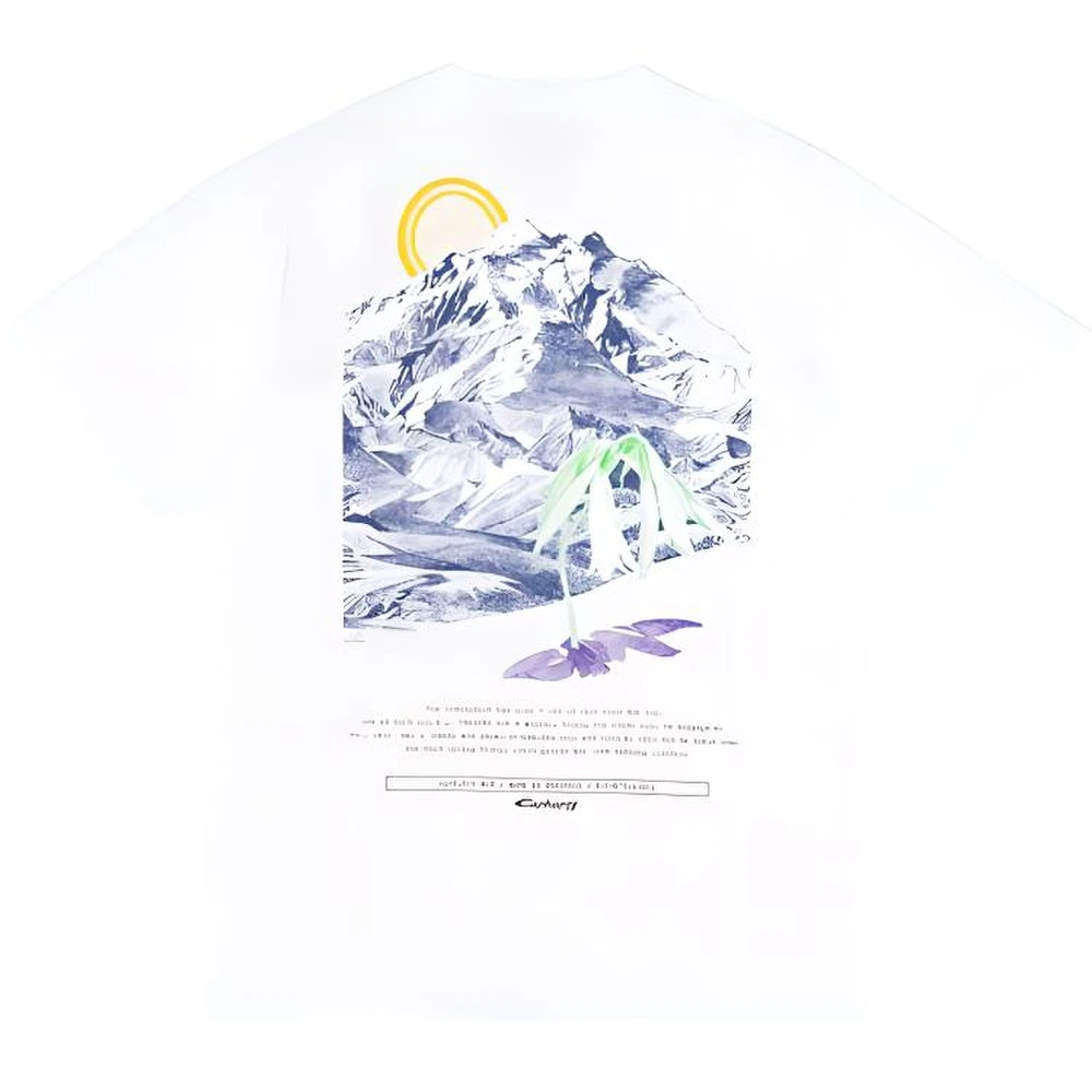 Футболка Carhartt WIP FW1 с принтом Mountain белая, Цвет: Белый, Размер: S | Китай.рф