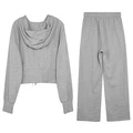 Стильный спортивный костюм с худи и прямыми брюками 3COLOUR, Набор: комплект, Цвет: Костюм (серая куртка + серые брюки), Размер: S | Китай.рф