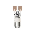 Термокружка LATTA ALV: дизайнерский стиль и безупречное качество, Объем: 300мл бежевый | Китай.рф