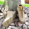 GARMONT Nemesis 4.2 GTX - водонепроницаемые тактические ботинки, Размер: 43, Цвет: коричневый | Китай.рф