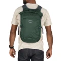 Рюкзак OSPREY 18L Double Shoulder Outdoor Bag Jasper Unisex 10006842, Издание: Смешанная отправка | Китай.рф