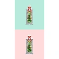 LEGO Рождественская елка с фонарем (с подарочной коробкой) 40573, Название продукта: Встроенная витрина с креативной рождественской елкой и белым фонарем (тип A) | Китай.рф