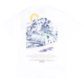 Футболка Carhartt WIP FW1 с принтом Mountain белая, Цвет: Белый, Размер: S | Китай.рф