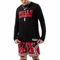 Свитшот Nike Chicago Bulls с длинным рукавом серый, Цвет: серый, Размер: XL | Китай.рф