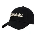 Кепка мужская Dickies с логотипом, Стиль: черный, Размер: F (свободный размер) | Китай.рф