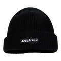 Шапка бини Dickies для мужчин и женщин, Стиль: черный, Размер: Единый размер | Китай.рф