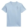 Футболка Polo Ralph Lauren Big Pony Manor Blue для подростков, Цвет: манор блю, Размер: XL | Китай.рф