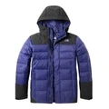 Пуховик The North Face DWR мужской утеплённый с капюшоном, Цвет: синий, Размер: S | Китай.рф