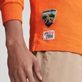 Поло рубашка Polo Ralph Lauren Standard с длинным рукавом, мужская, мультиколор, Цвет: многоцветный, Размер: XL | Китай.рф