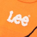 Свитер Lee Grade School с круглым вытянутым ворсом, утеплённый, для подростков, Цвет: оранжевый цвет, Размер: 120 | Китай.рф