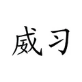 Wei Xi