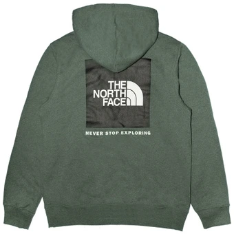 THE NORTH FACE Худи светло-зеленое | Китай.рф