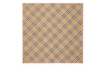 Burberry Полосатый Шелковый Шарф Унисекс Коричневый | Китай.рф