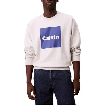 Толстовка Calvin Klein с принтом логотипа | Китай.рф