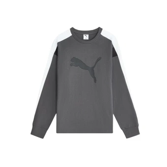 Футболка PUMA мужская с длинным рукавом темно-серая | Китай.рф
