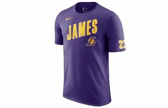 Футболка Nike NBA Los Angeles Lakers LeBron James мужская фиолетовая | Китай.рф