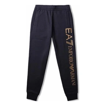 Спортивные брюки Emporio Armani EA7 с принтом логотипа, мужские, темно-синие | Китай.рф