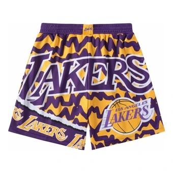 Баскетбольные шорты Mitchell & Ness Los Angeles Lakers, фиолетовые, мужские | Китай.рф