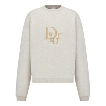 Толстовка DIOR X Erl Oversized с логотипом, мужская, серая | Китай.рф