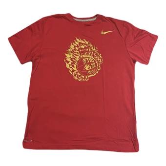Футболка Nike Dri-Fit мужская красная с круглым вырезом | Китай.рф