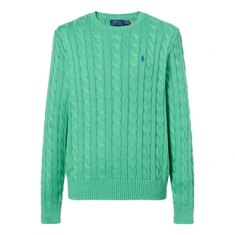 Джемпер Polo Ralph Lauren мужской зелёный с вышивкой пони | Китай.рф